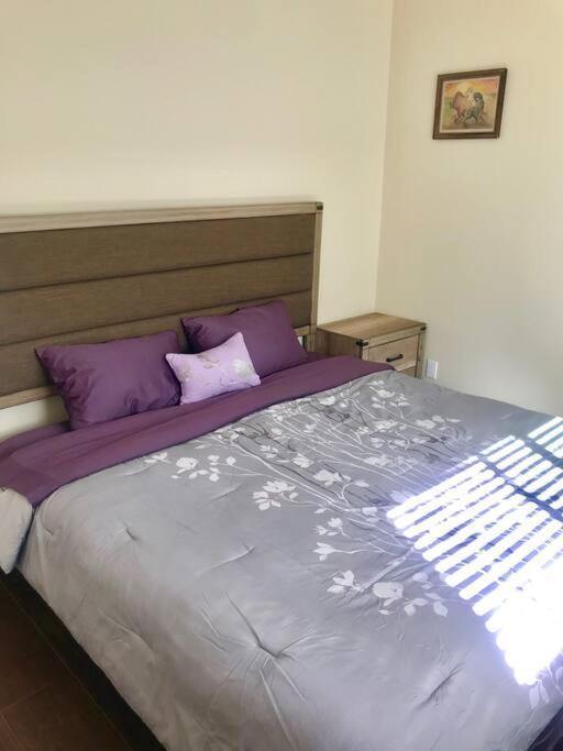 Private Modern Guesthouse With Backyard Лос-Анджелес Экстерьер фото